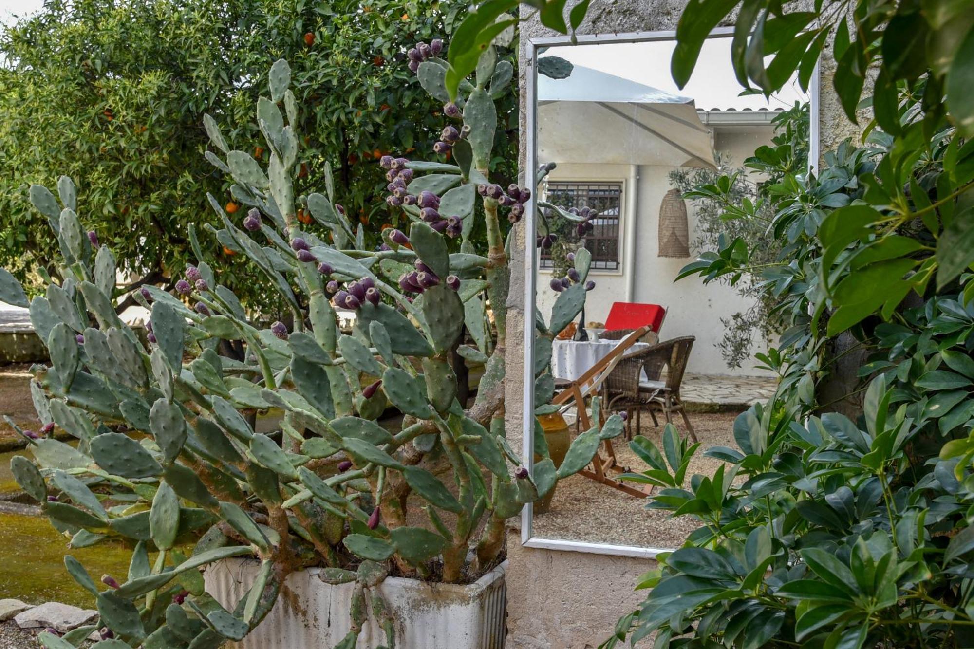 Antica Casina B&B Di Charme Pulsano Extérieur photo